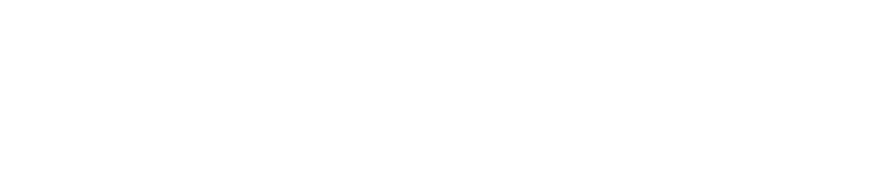 Maruti Suzuki