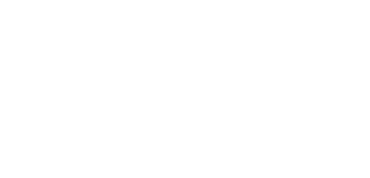 Label Ritu Kumar